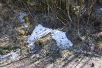 dsc_5294.jpg