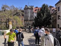 img_20260429_145224.jpg