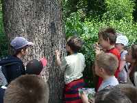 p1020320.jpg