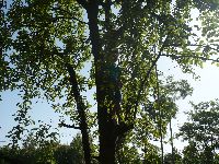 p1020344.jpg