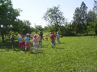 sany0029.jpg