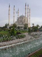 05.jpg