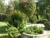 06.jpg