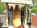 dscf0155.jpg