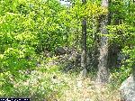 dscf0160.jpg