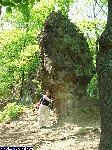 dscf0181.jpg