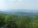 dscf0185.jpg