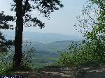 dscf0196.jpg