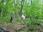 dscf0235.jpg