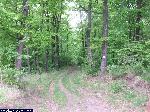 dscf0244.jpg