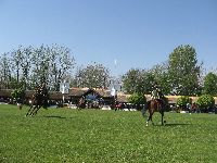 any_k_napi_k_pek_008.jpg