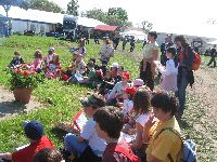 any_k_napi_k_pek_021.jpg