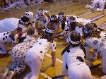 dsc09756.jpg