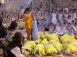dsc09816.jpg