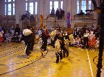 dsc09859.jpg