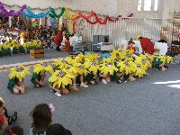 dscf7620.jpg