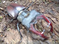 dscf3120.jpg