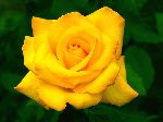 20060503124420.jpg