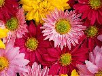 20060503124434.jpg