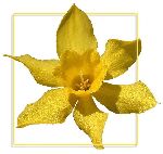 20060504110806.jpg