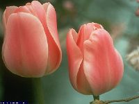 20060503123922.jpg