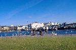 dscf0739.jpg