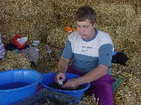 dsc03438.jpg