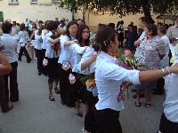 20060617085752.jpg