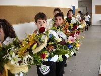 20060617091522.jpg