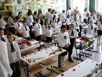 20060617091834.jpg