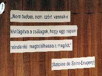 20060617100836.jpg