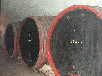 dscf3534.jpg