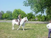dsc01931.jpg