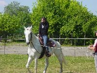 dsc01968.jpg