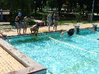dscf3388.jpg