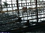 dscf8635.jpg