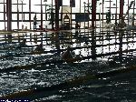 dscf8636.jpg