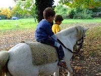 dscf1453.jpg