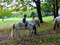 dscf1454.jpg