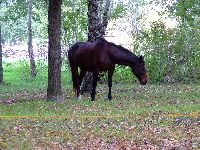 dscf1456.jpg