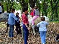 dscf1462.jpg