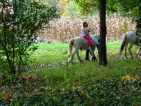 dscf1491.jpg