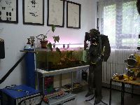 p1000253.jpg