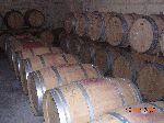 bordeaux_082.jpg