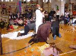 dsc00087.jpg