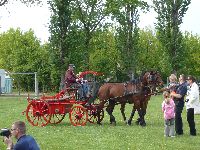t_zolt_s_047.jpg