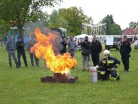 t_zolt_s_050.jpg