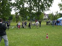 t_zolt_s_084.jpg