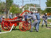 t_zolt_s_115.jpg