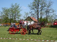 t_zolt_s_119.jpg